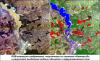 Новые алгоритмы тематической обработки спутниковых данных для мониторинга паводковой ситуации в Сибирском федеральном округе